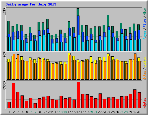 Daily usage for July 2013