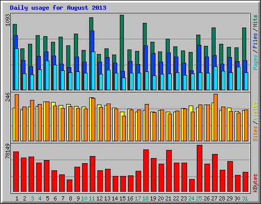 Daily usage for August 2013