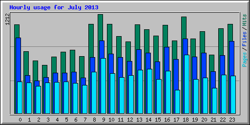 Hourly usage for July 2013