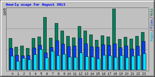 Hourly usage for August 2013