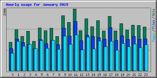 Hourly usage for January 2015