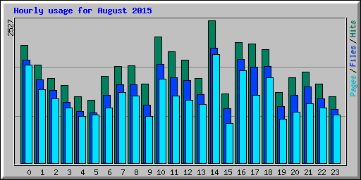 Hourly usage for August 2015