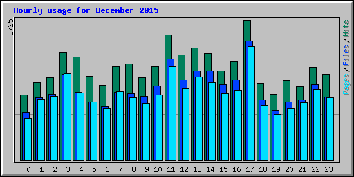 Hourly usage for December 2015