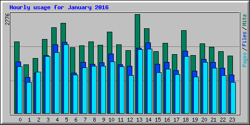 Hourly usage for January 2016