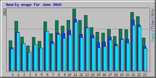 Hourly usage for June 2016