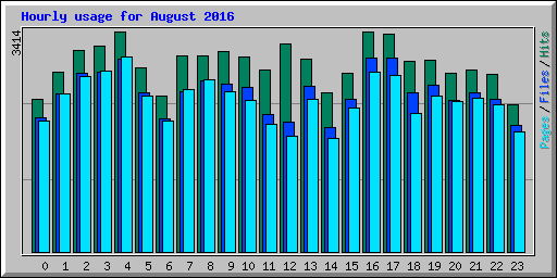 Hourly usage for August 2016