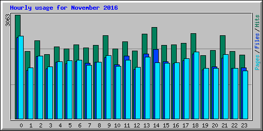 Hourly usage for November 2016