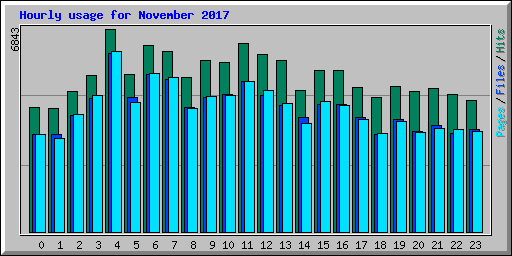 Hourly usage for November 2017